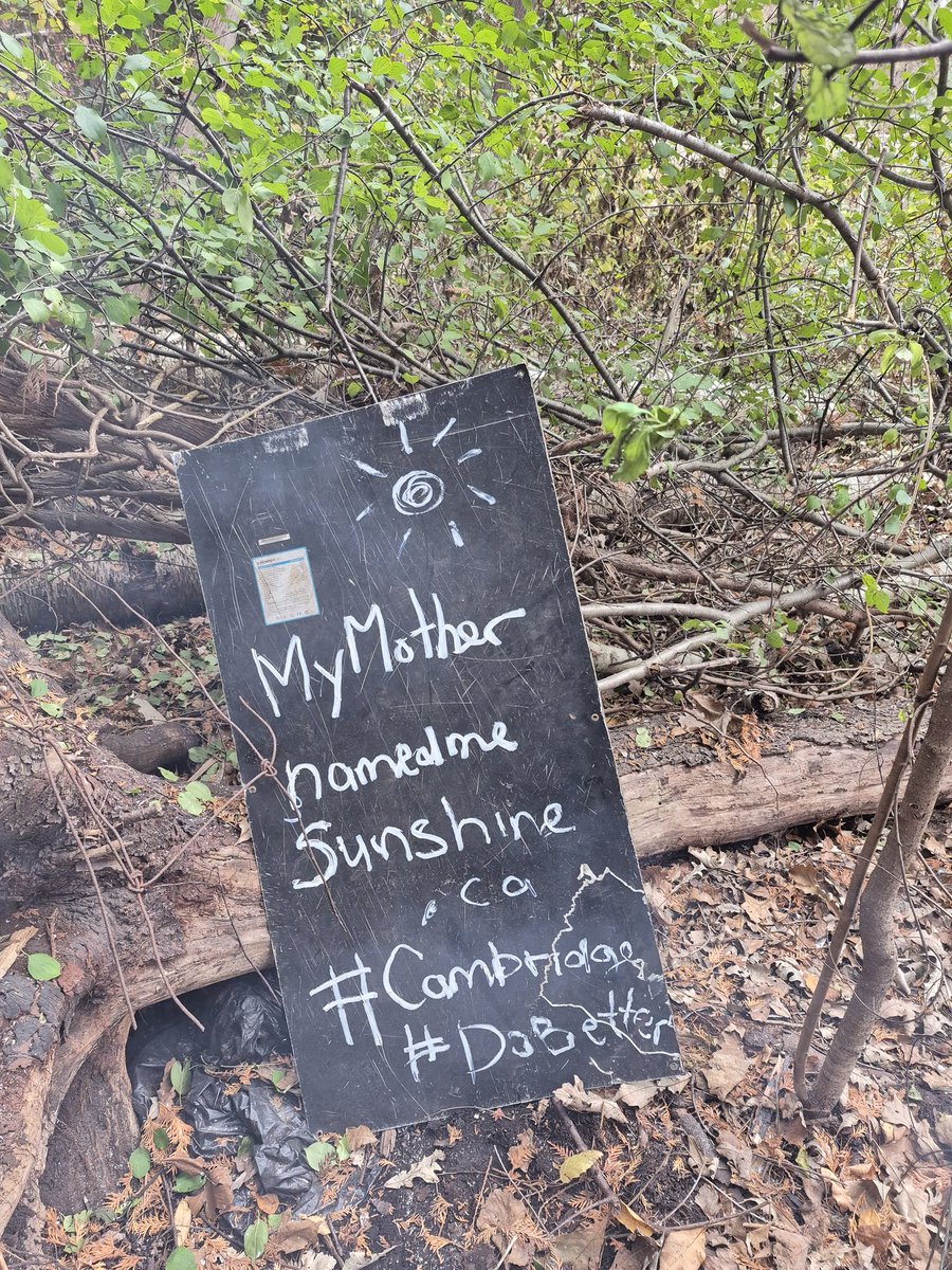 ReganBrusse's tweet image. #Cambridge #DoBetter #Unsheltered #HumanRights 
#MoreThanASpecOfWTF