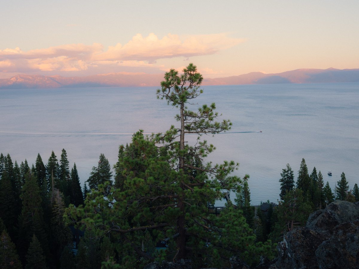 julia_hilbert's tweet photo. Photography in Lake Tahoe #fujifilm https://t.co/p8Q9sZDjML
