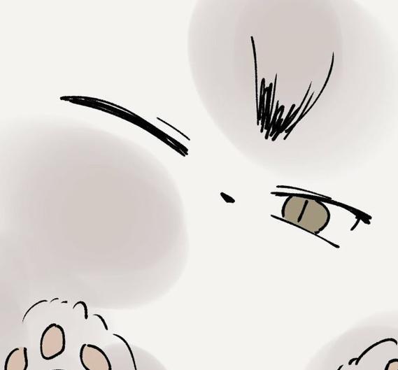 Elinillor's tweet photo. 日曜日の夜、曇り。リフレッシュ気分で休憩する。 https://t.co/WuBIkiQYwS