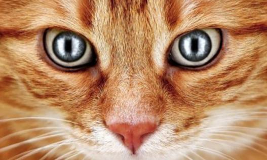 現実逃避民🦑 tweet media