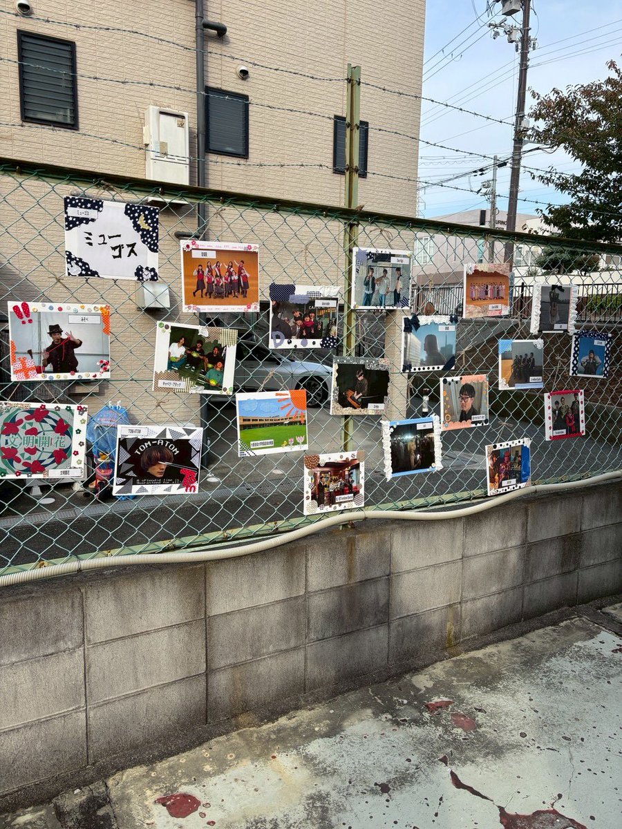 大阪音楽大学 学祭実行委員 tweet media