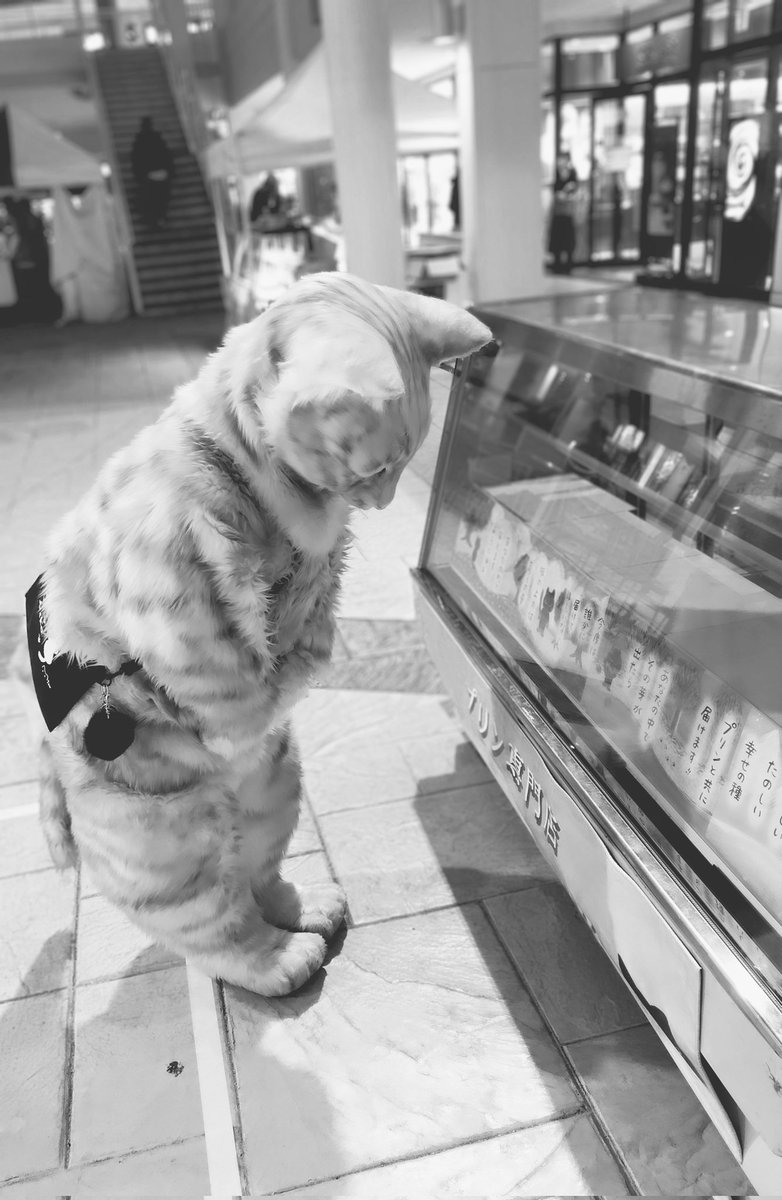 御礼】 岡山県倉敷市 「くらしきプリンフェス」 今年も無事に終了しま