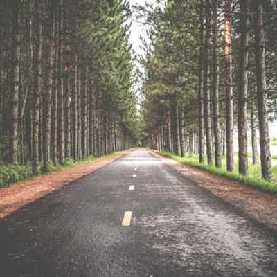 朝です！おっは！シンプルな挨拶だけど、朝のパワー感じるよね！