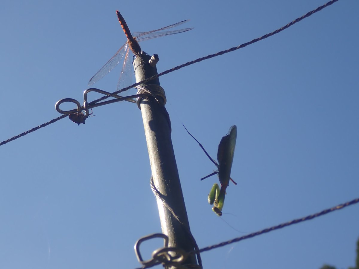 たけぞー (@signe705) / Posts / X