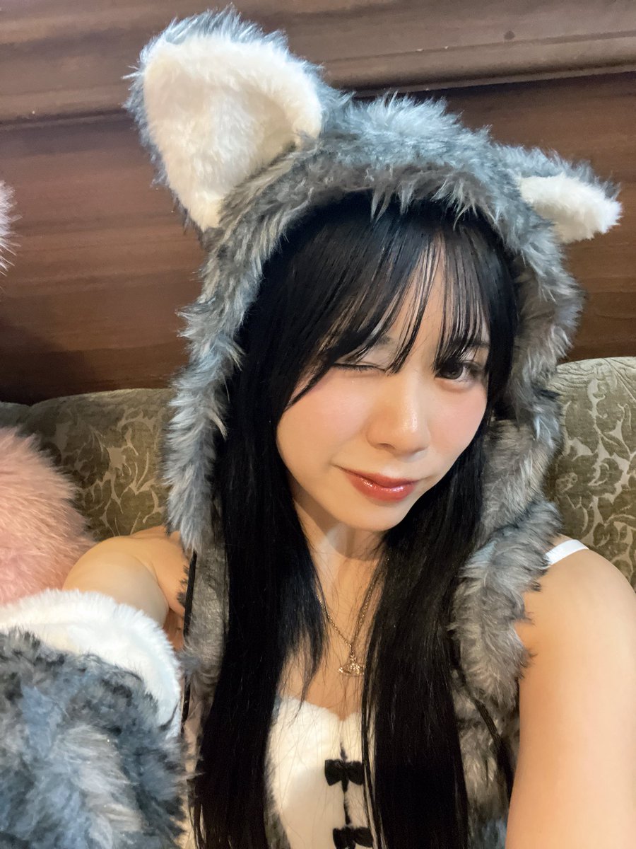 kasisu_ender's tweet photo. ウルフありすー🐺💗 https://t.co/dfoCOrP1jQ