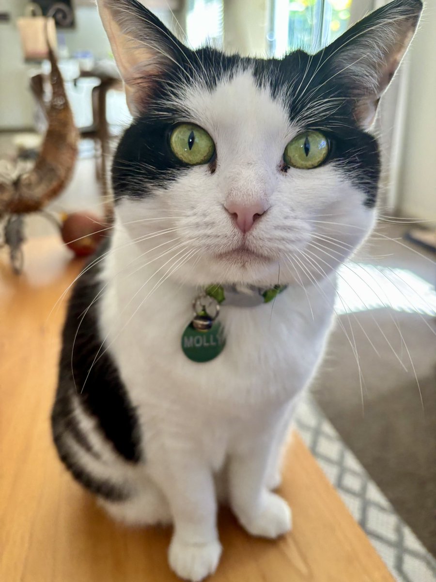 I am telling you Mamma it’s foods time!