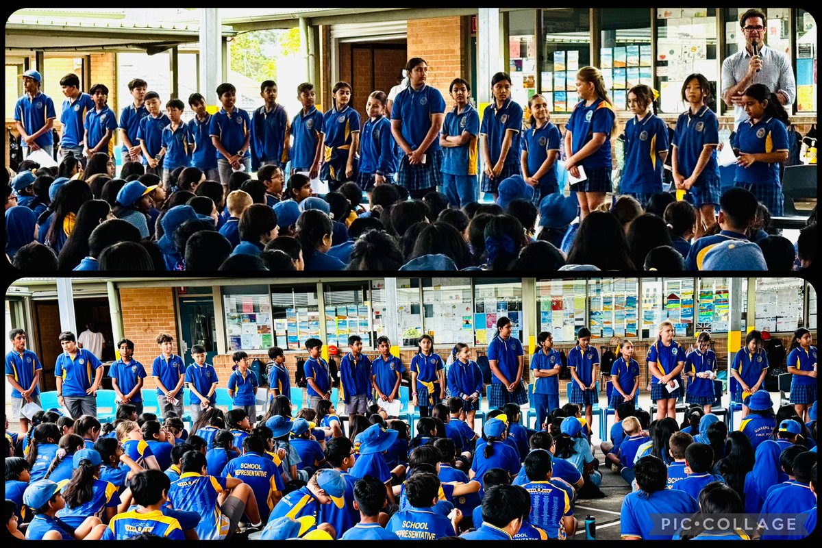 Quakers Hill Public School tweet media