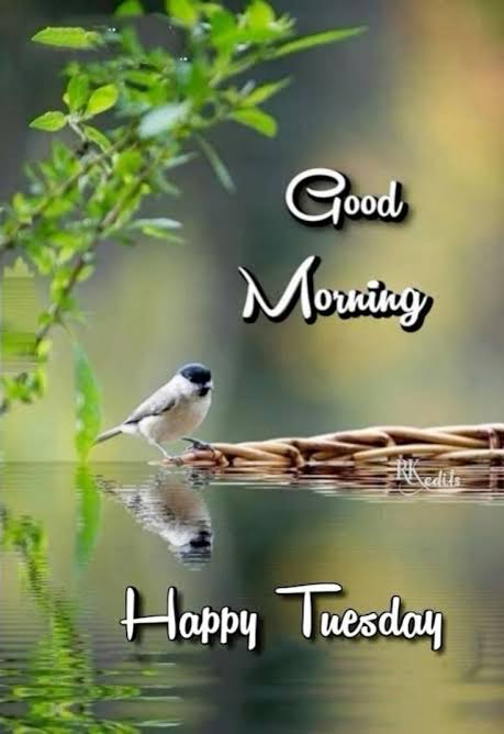 <a href="/conyrogri/">Connie Grisales</a> 🫶🏻🫶🏼🫶🏼❤️

🫶🏼    🌹     👍🏻      🌹
GOOD MORNING. 

LOVELY AMAZING  2nd DAY  OF NEW WEEK..!!
      T U E S D A Y .
🫶🏻🫶🫶🫶🏻🫶🏻🫶🫶🏻