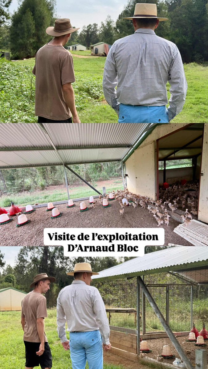 Pascal Vittori tweet media