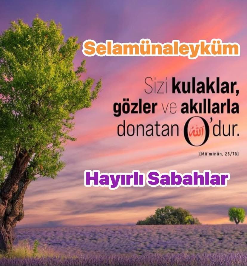 Selamünaleyküm
#Hayırlısabahlar 
diliyorum
 <a href="/AbdulhadiOzatas/">Abdulhadi Özataş</a> <a href="/KutahyaYigit/">Abdullah yiğit Kütah</a> <a href="/muzaffer_blbl61/">Muzaffer Bülbül</a> 
<a href="/ImamCad/">Haci İmam ÇADIRCI</a> <a href="/SKAfridi_1/">Sajid Khan Afridi ساجد خان آفریدی</a> 
<a href="/Ziyafb4/">Ziyafb</a> <a href="/_bir63/">Mehmet</a> 
<a href="/dedesi_y/">Y.Selim'in dedesi</a> <a href="/mevliyaogluu/">Mehmet Evliyaoğlu</a> 
<a href="/adem_hosanli/">Adem HOSANLI</a> 
<a href="/hasantemur/">Hasan Aktemur.</a> <a href="/OsmanOsmanbzkrt/">osman bozkurt</a> <a href="/senolravzaa/">Şenol Kızılkaya</a> <a href="/KonakZafer/">ZAFER KONAK</a> <a href="/muhsinsari0303/">Muhsin Sarı II</a> <a href="/YE_polat/">Yunus Emre Polat</a>
