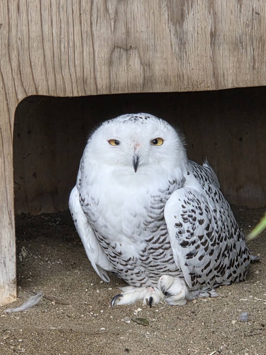 さんと (@3jino1) / Posts / X