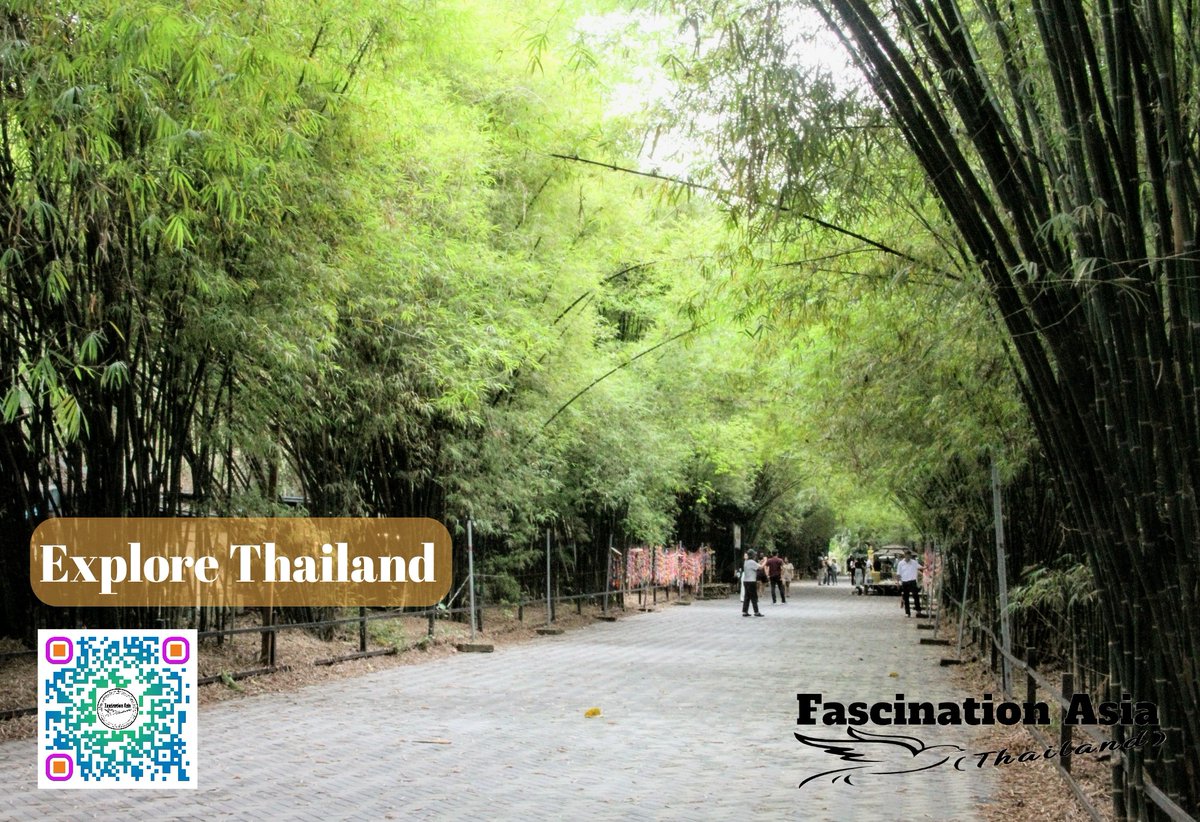 chai_guide's tweet photo. แบกกล้องเที่ยว​ไปเรื่อย
.....​
Explore Thailand 
Journey &amp; Taking Photos
.....
https://t.co/eAz2CqMMqm
📧: https://t.co/EpvTweEHzP.th@gmail.com
#fascination #guidechaithailand #tourguide #travel #tourism #thailand https://t.co/wOrx2XTcaV