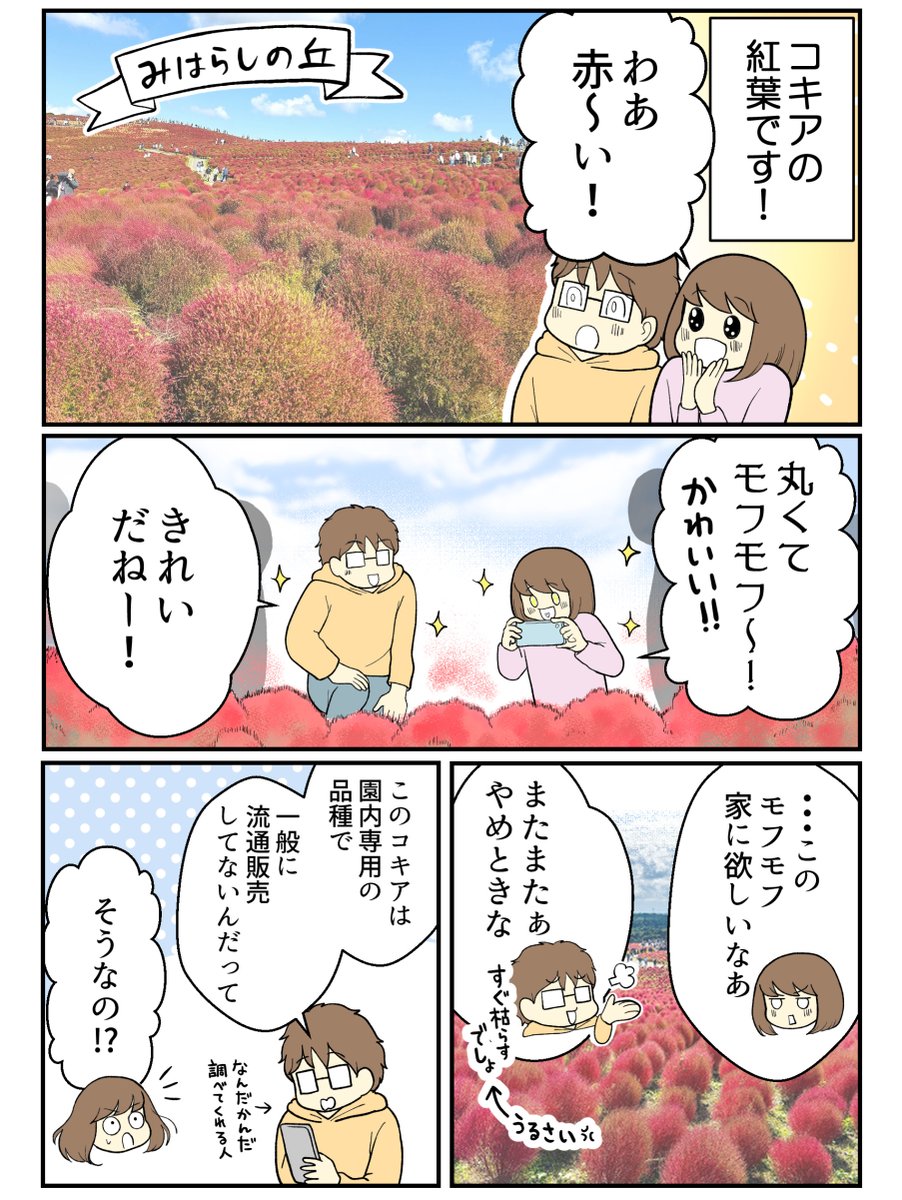 秋のひたち海浜公園で、もふもふを堪能してきた話(2/2) 