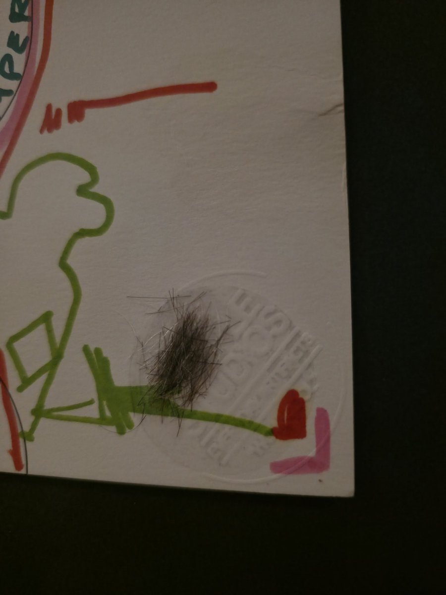 Even fewer know that there is a <a href="/beeple/">beeple</a> × <a href="/opepenedition/">◶◶*</a> one-of-one with Beeple's DNA on it