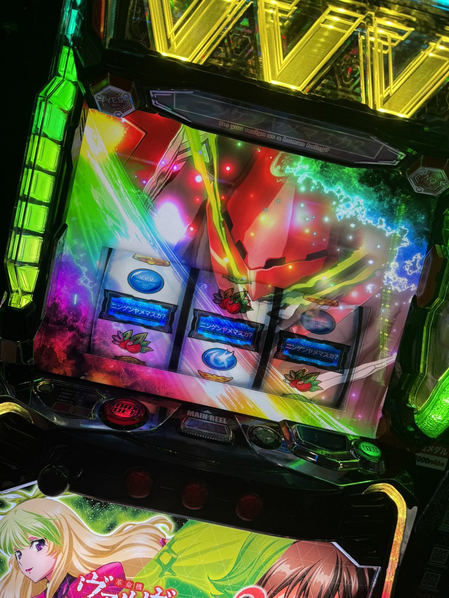 たま🐣っ！！ tweet media