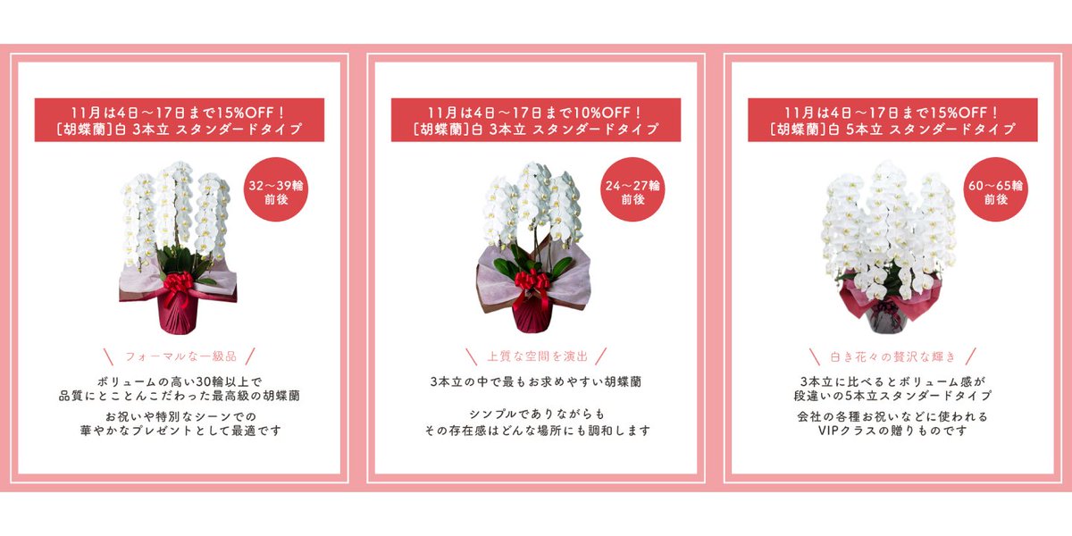 okurimono719's tweet image. 毎月月初に開催の胡蝶蘭割引キャンペーン、いつもご好評いただきありがとうございます！
今月11月は4日～17日に【最大15％OFF】にて開催しております！
秋は人事異動が発表される時期です。
新たな門出をお祝いする贈り物として、弊社の高品質な胡蝶蘭をご検討いただけますと幸いです。
#PR #胡蝶蘭