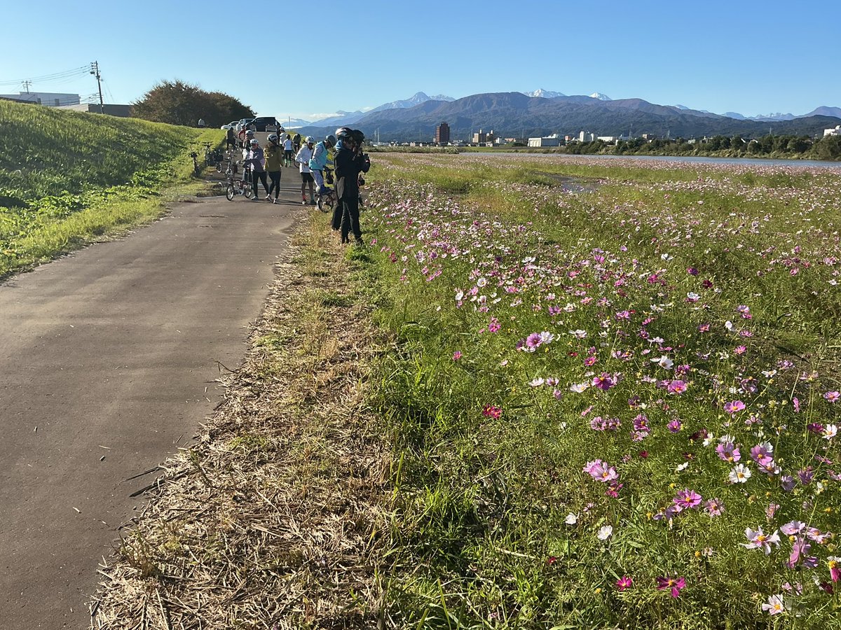 二代目 高橋竹山 Takahashi Chikuzan II (@heroyama8167) / Posts / X