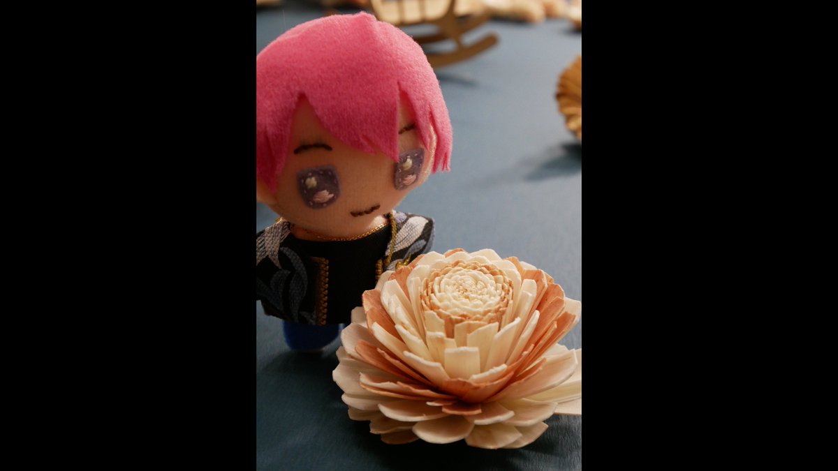 cazaro2016's tweet photo. #推しの日 第二弾♪ #ソラフラワー を使ってぬい写を撮ってみました😊
写真のアクセントにしたりぬいにお花を見てもらったり、手に持ってもらったりと撮影がとっても楽しい!
4枚目ではヒマワリを5輪広げてぬいのベッドにしてみました🛏
#ぬい活 #ぬい撮り #推し活 #solage https://t.co/CWF7cxn7MF
