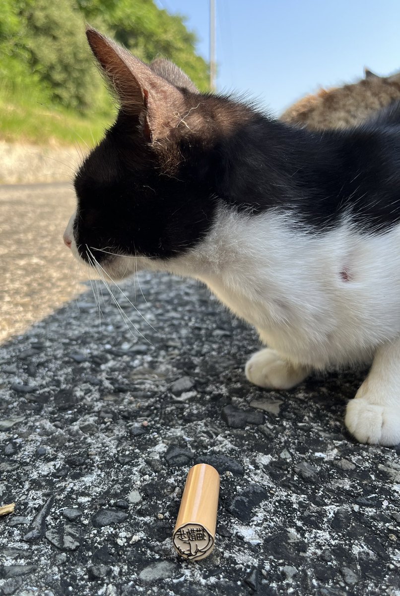 印鑑デザイナー 城山謙一 (@siroji2001) / Posts / X