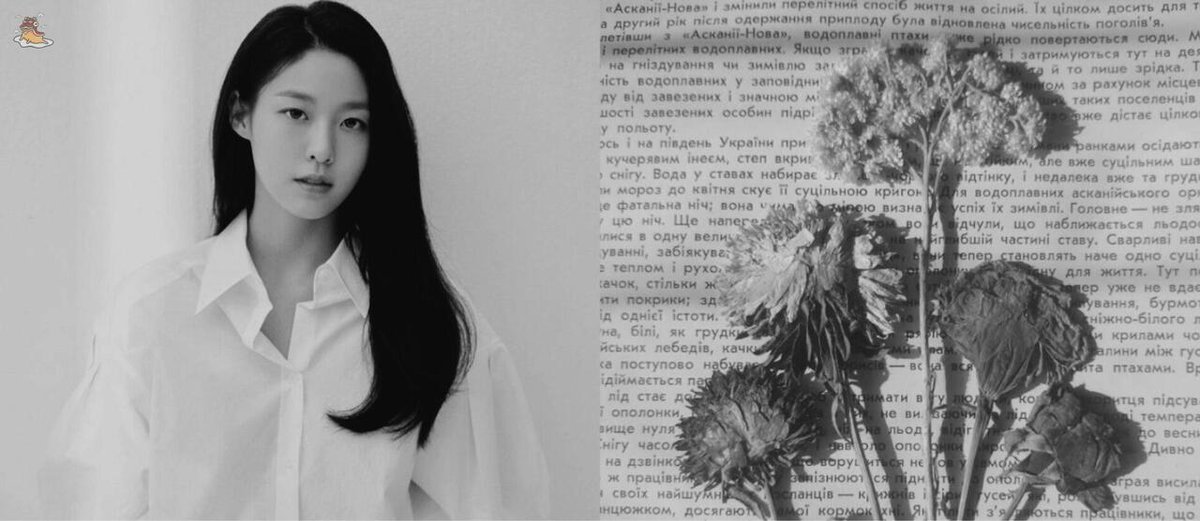 SOC-IE 💛 ˚☽˚.⋆ tweet media