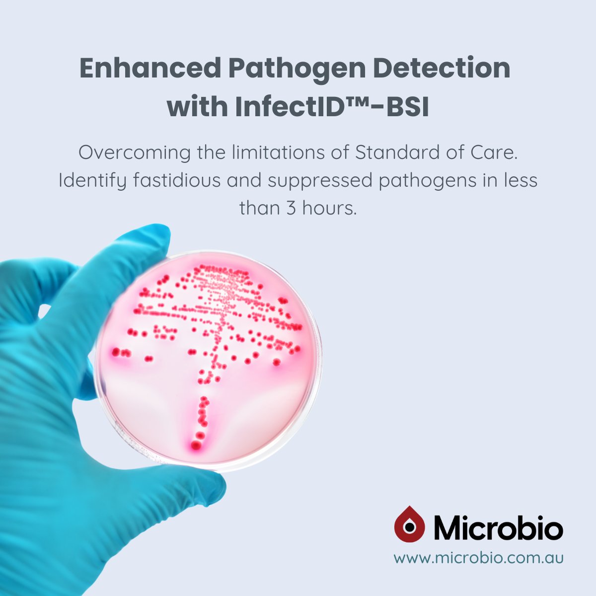 Microbio tweet media