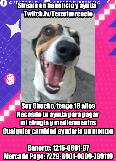 FerzoFurrencio's tweet photo. Nunca hago esto, pero necesito ayuda 💔. Mi perrito está grave por una infección en su ojito derecho, lo operarán y harán radiografías. No puedo cubrir los $5,000 iniciales. Cualquier apoyo o difusión ayuda muchísimo 🙏🐶 https://t.co/7pIWl3sDG5