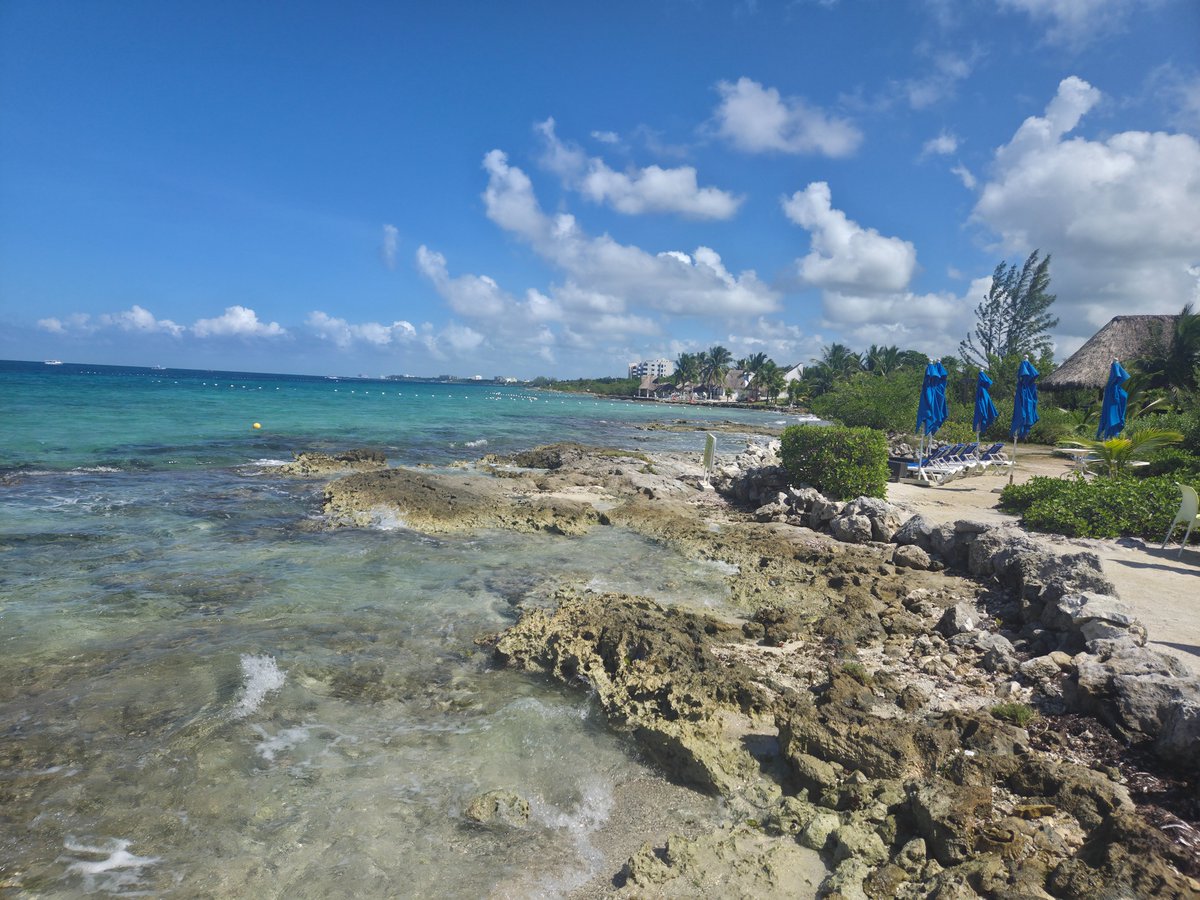 Steve Hoffman (Captain Hoff) tweet media