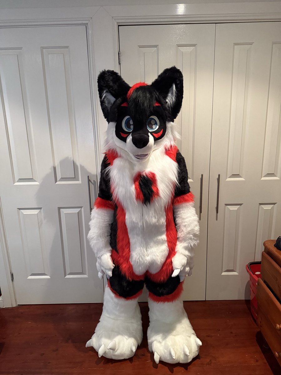 BaxterWolf tweet media