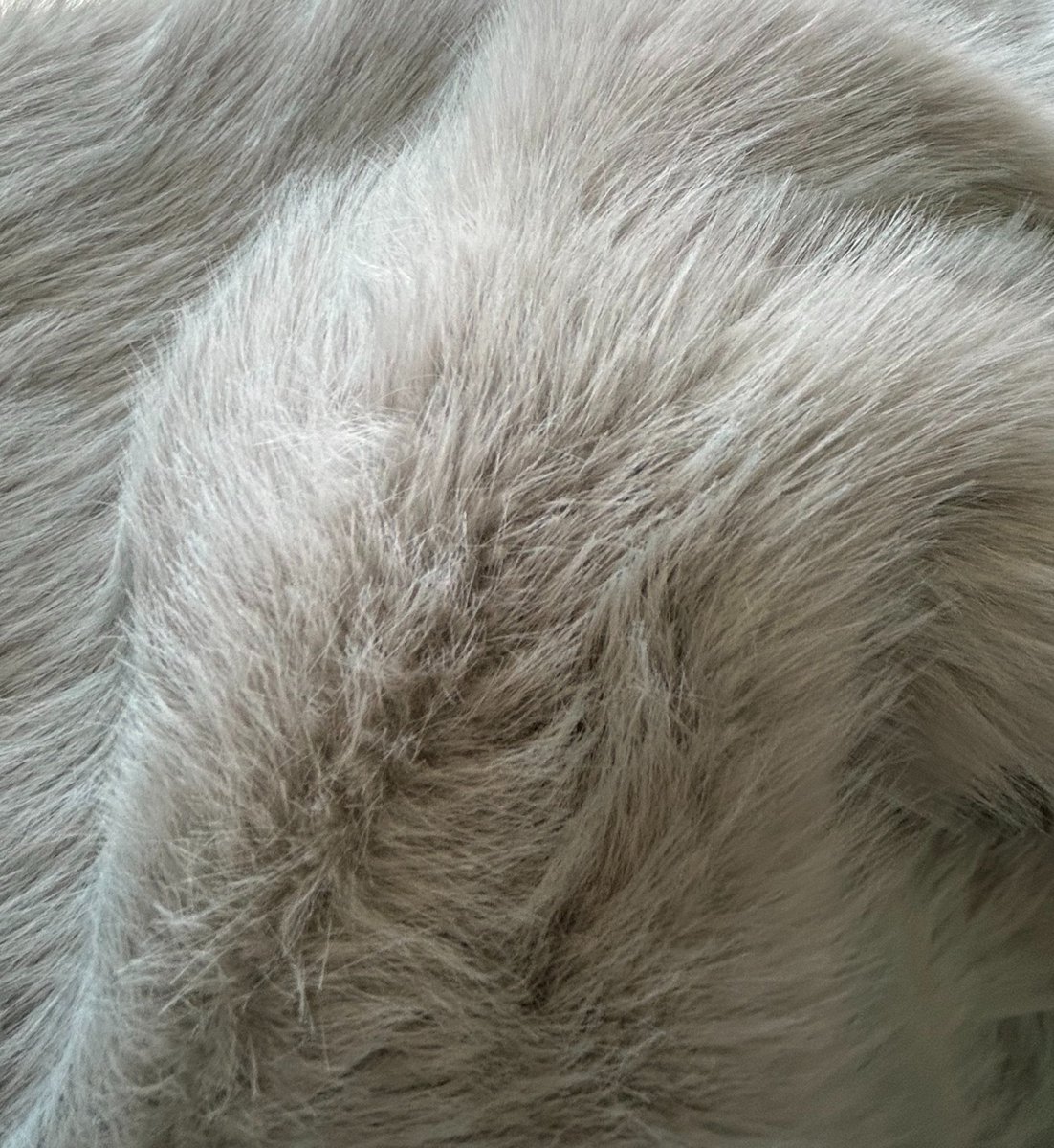 アカーディア@固定に秋まつり (@acadia001) / Posts / X