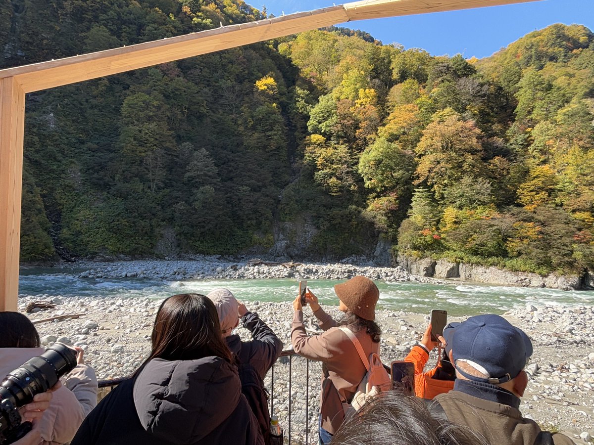 torokkodensya's tweet image. 紅葉🍁の見頃を迎えた黒部峡谷🎶
本日も多くのお客さまにご利用いただき、ありがとうございます😊🚃
今週は天気も良さそうですよ〜😊☀️

#黒部峡谷トロッコ電車
