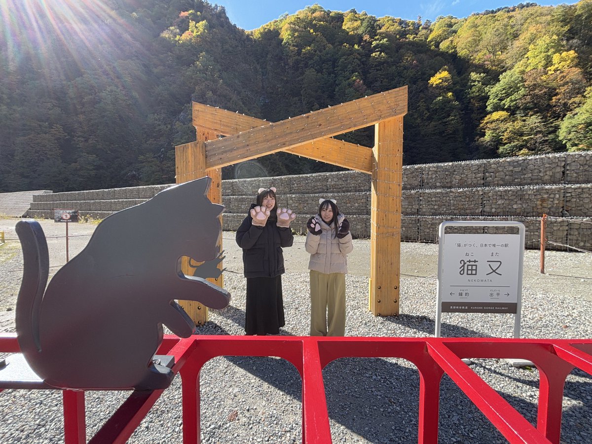 torokkodensya's tweet image. 紅葉🍁の見頃を迎えた黒部峡谷🎶
本日も多くのお客さまにご利用いただき、ありがとうございます😊🚃
今週は天気も良さそうですよ〜😊☀️

#黒部峡谷トロッコ電車