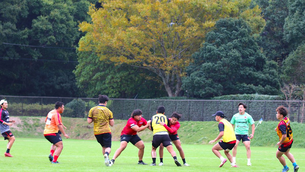 HINO RED DOLPHINS ラグビーウェア 3XL Amazon.co.jp: 日野レッドドルフィンズ