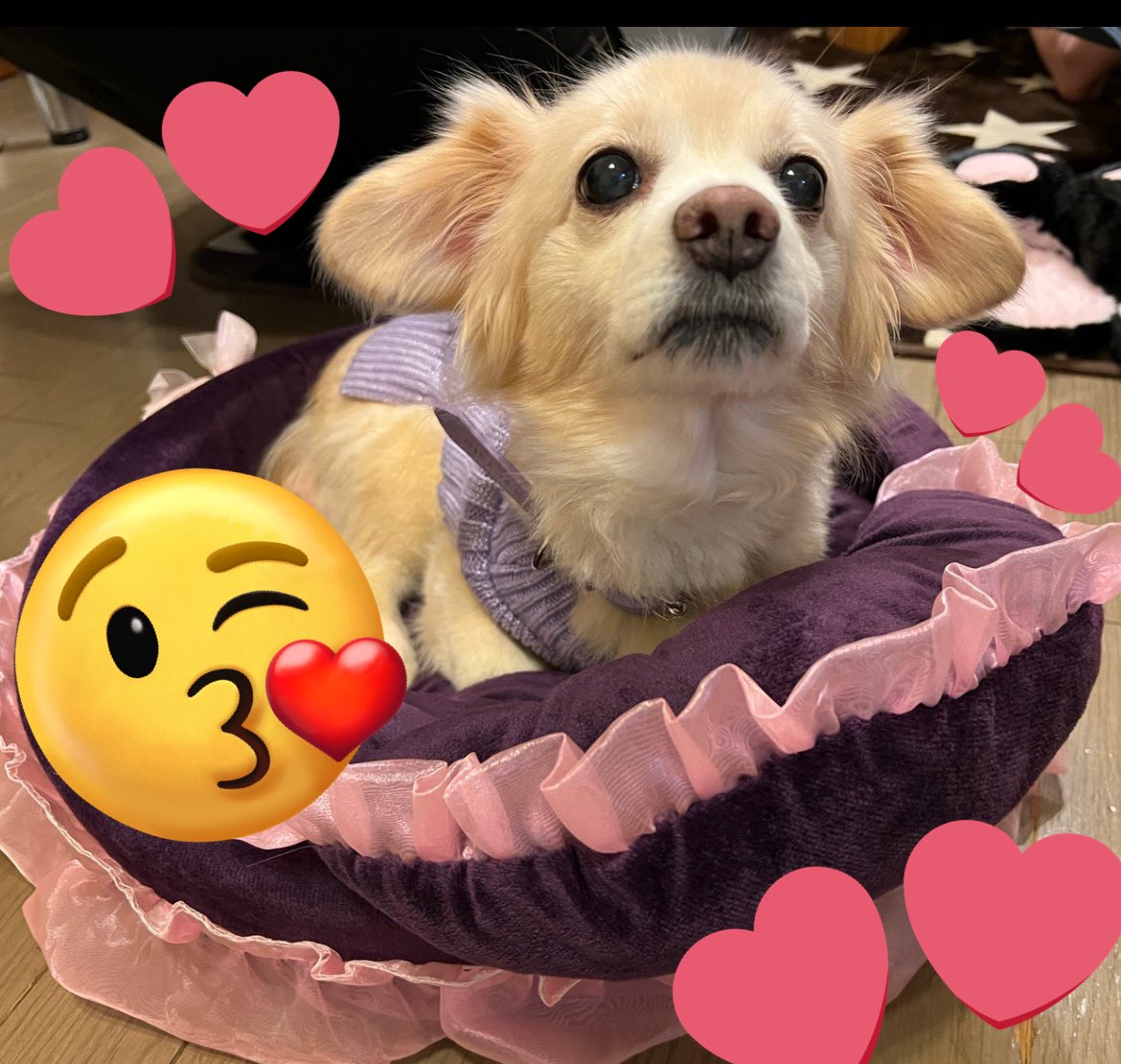 🤟⭐️nao⭐️🤟 on X