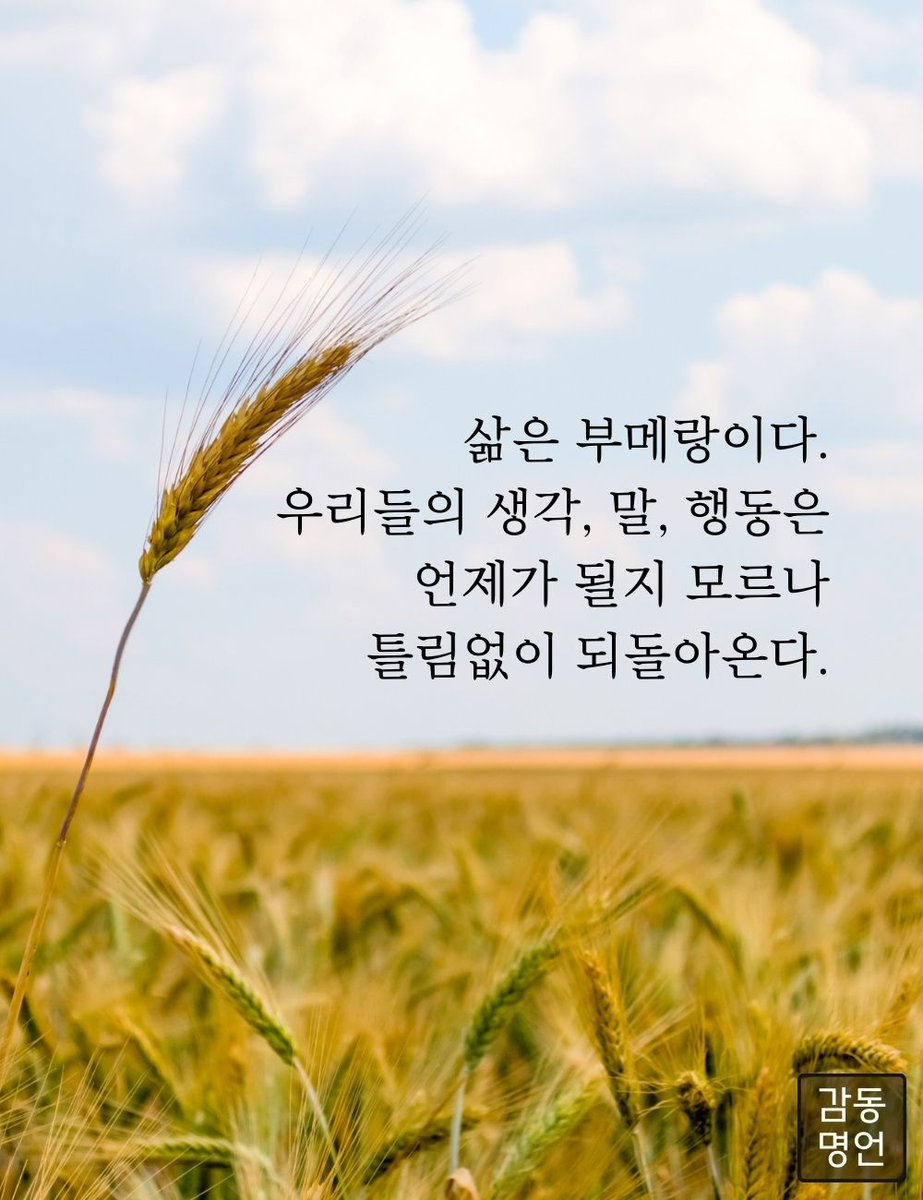 dud3329's tweet image. 