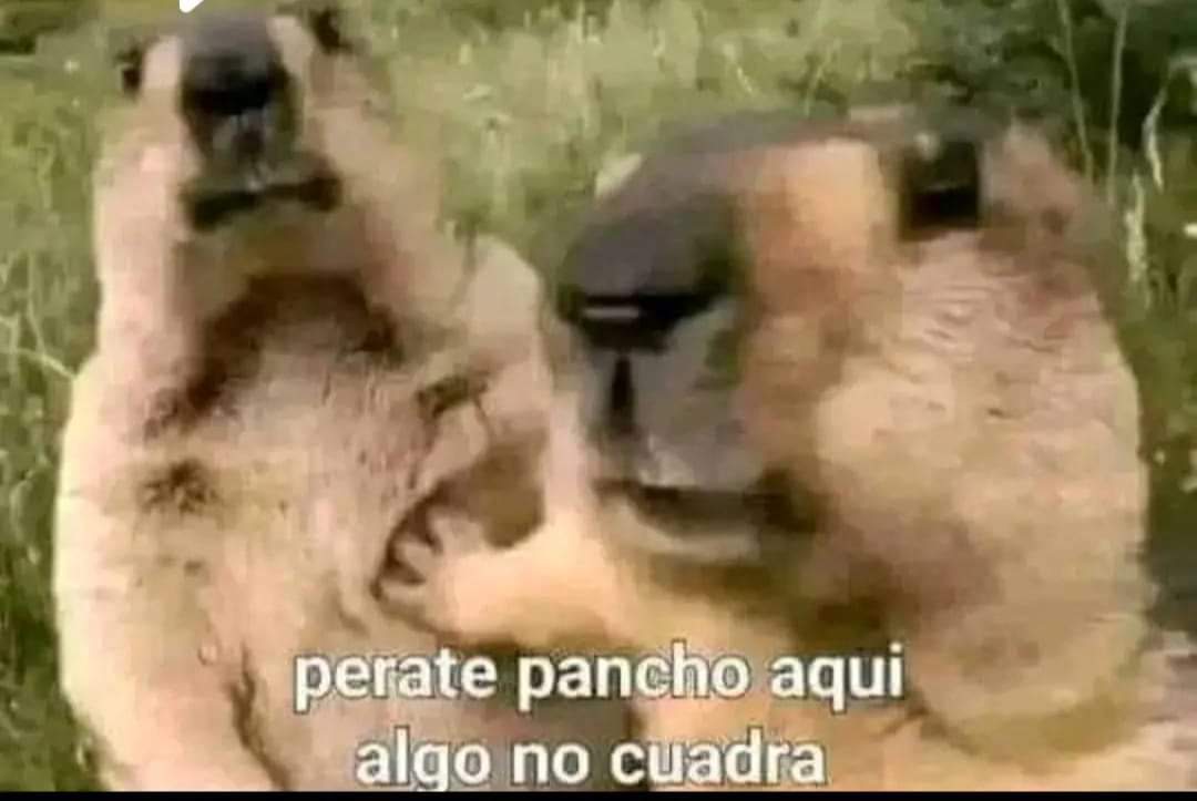 Yo con Prisma y Nazario 

#JoaquinBondoni
 #PapásPorSiempre