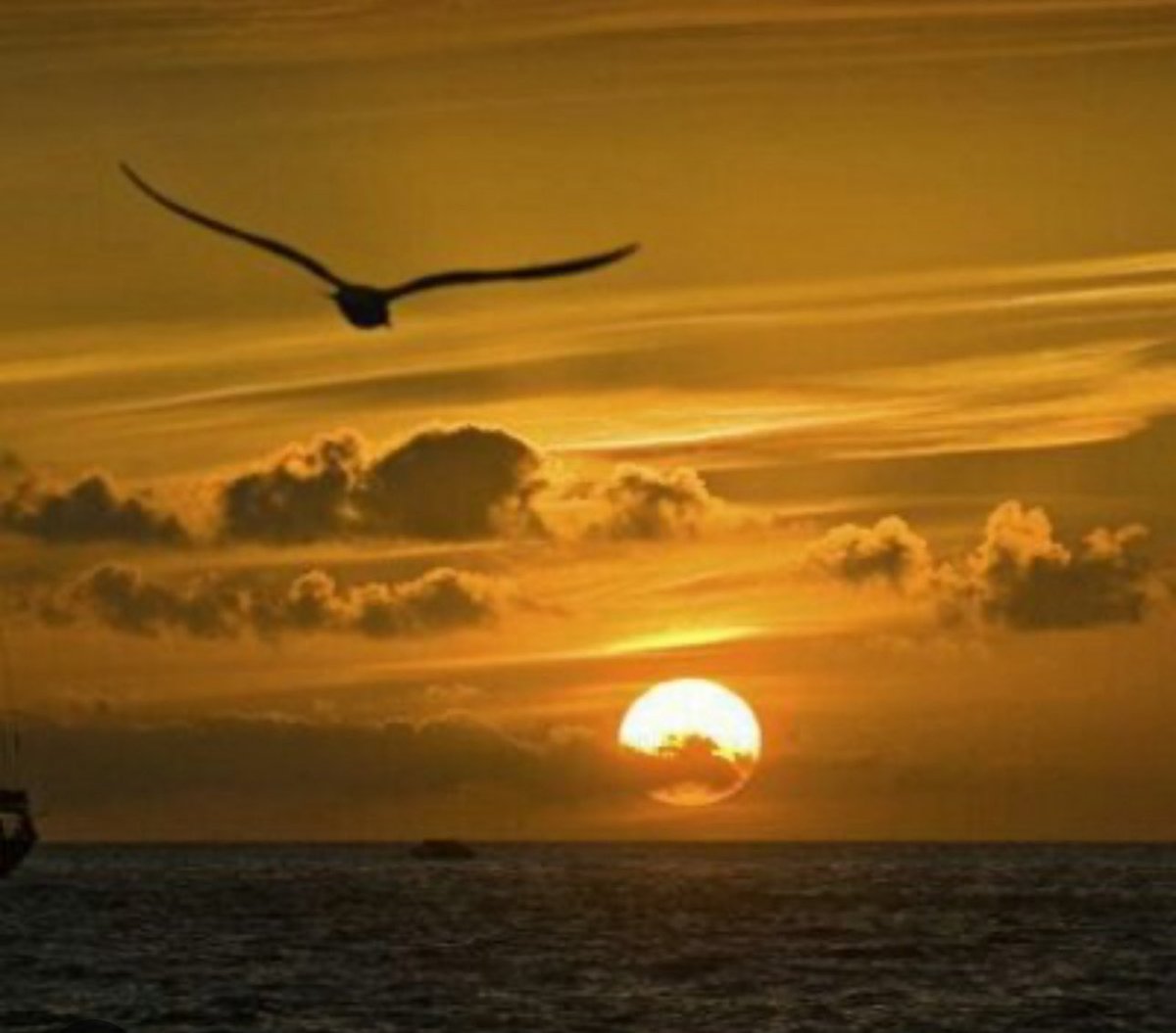 "كم تبدو المسافة طويلة بين ما يشعر به المرء وبين ما يستطيع شرحة للآخرين."⁣
فلنقلل المسافات بيننا وبين من نحبهم ولا بأس بالمساحات⁣، فلكل زاويته الخاصة
#كاريزما76 
#استشر 
#صناع_المستقبل
#فخر_الوطن 
#نواه_الاسرية