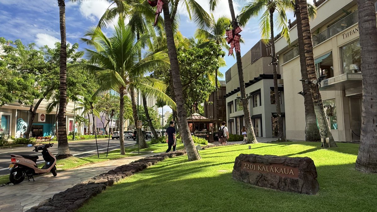 hawaii isla 808 tweet media