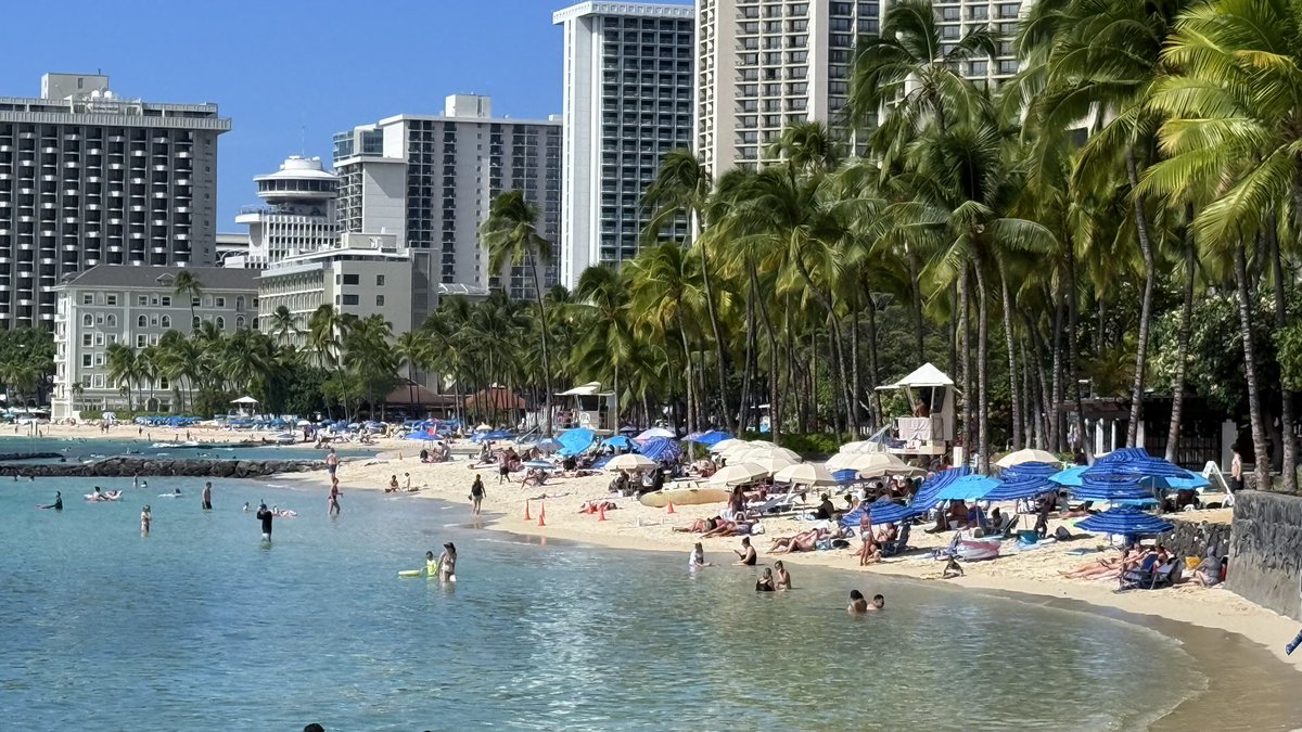 hawaii isla 808 tweet media