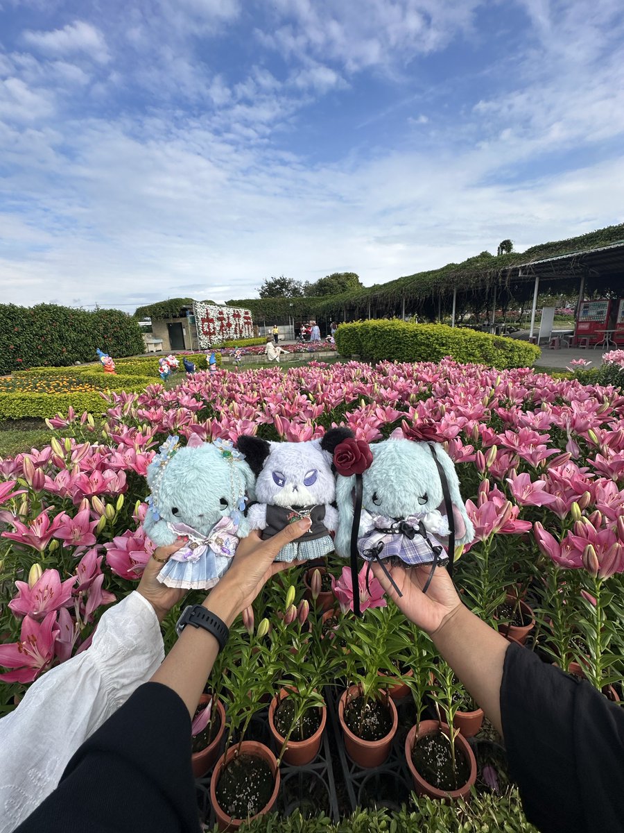 fullchankissed's tweet image. si oduu masih kecil pacarnya udah dua 😎
#foxde #tyonen