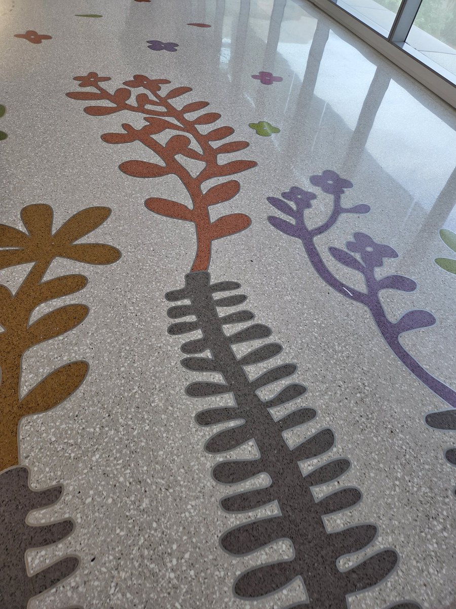 Hockey_NF_Mom's tweet image. Flight back to Salt Lake City this morning so T could make it to his last class. Crazy to think another @NASCAR season has concluded. Also, I won our family&apos;s fantasy league again. 

#alwaysracing #imwithTravis #MoreNotLess #ikNowaFighter #seetheability #EndNF #NASCAR