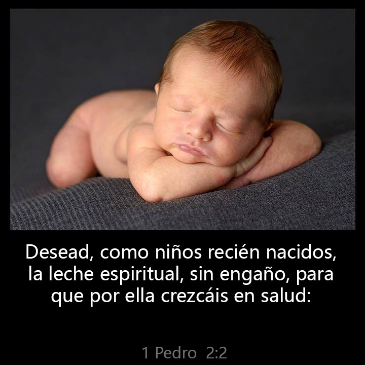 CalvinNHobbbes's tweet photo. As newborn babes, desire the sincere milk of the word, that ye may grow thereby: https://t.co/fI4UOiilBM