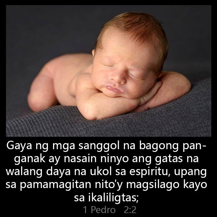 CalvinNHobbbes's tweet photo. As newborn babes, desire the sincere milk of the word, that ye may grow thereby: https://t.co/fI4UOiilBM