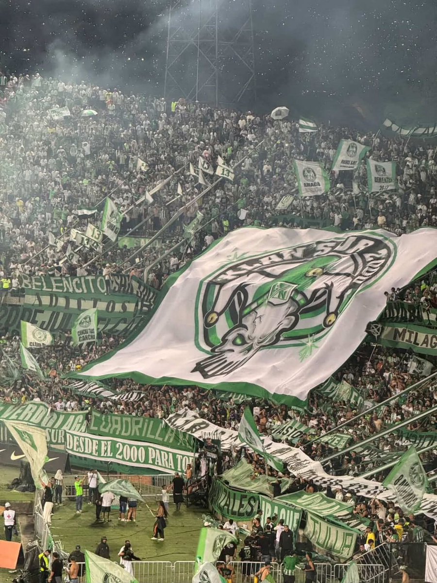 KlanSur2000's tweet photo. Con la fiesta y colorido que nos caracteriza, una vez más nuestro tapatribuna decorando la salida del club @nacionaloficial a la cancha, imponente y majestuoso.

@LDSoficial
@LDSBGA_OFICIAL

KLAN SUR BUCARAMANGA 25 AÑOS
DESDE EL 2000 PARA TODA LA VIDA https://t.co/7M965pRiZN