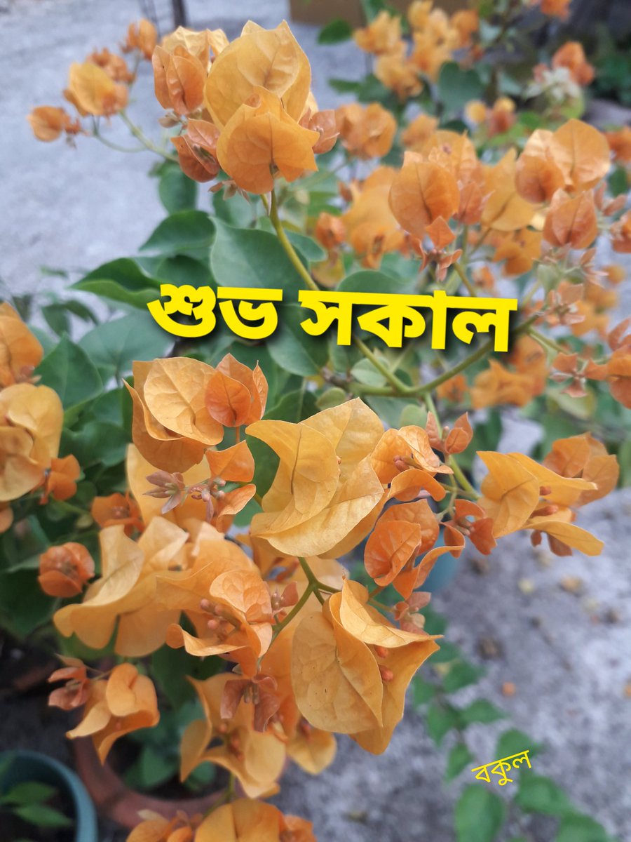 BSantra's tweet photo. Hello Friends https://t.co/jh60Isnul5