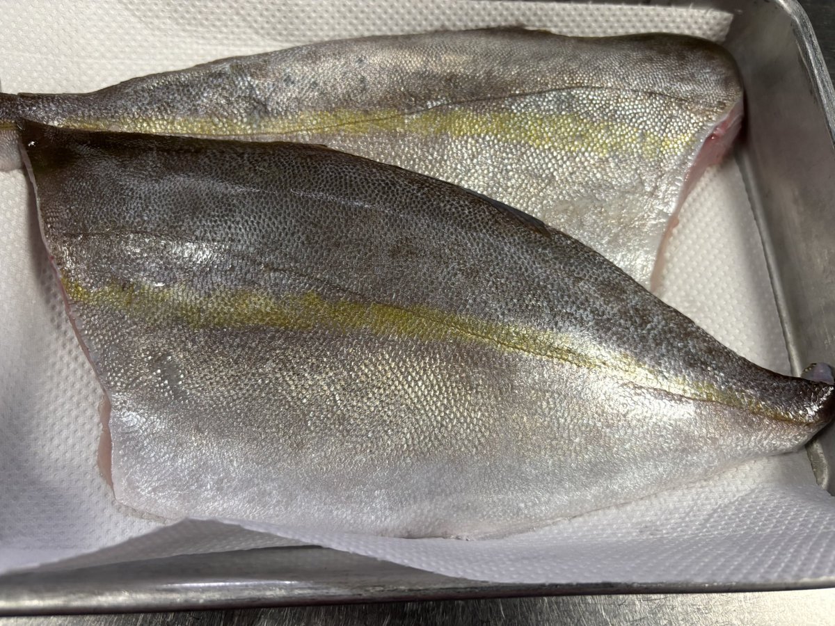 魚心　こころ 11 魚心 こころ 11 魚心 うおごころ (@uogokoro_yamato