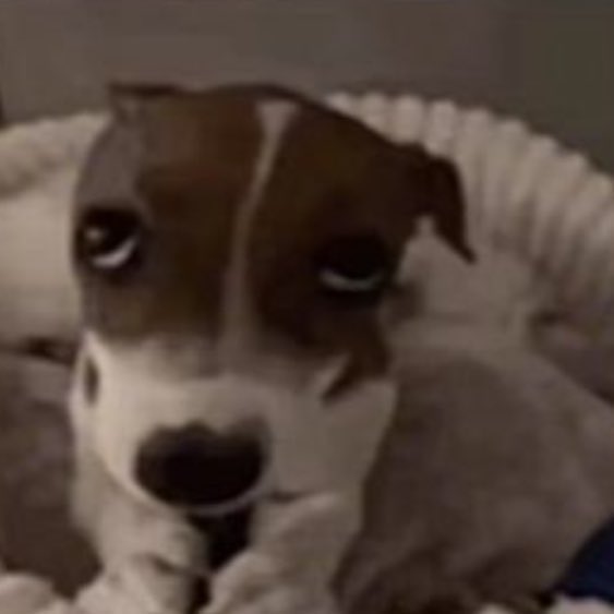 Vampireg0th4's tweet image. eu meio que amo minha coleção