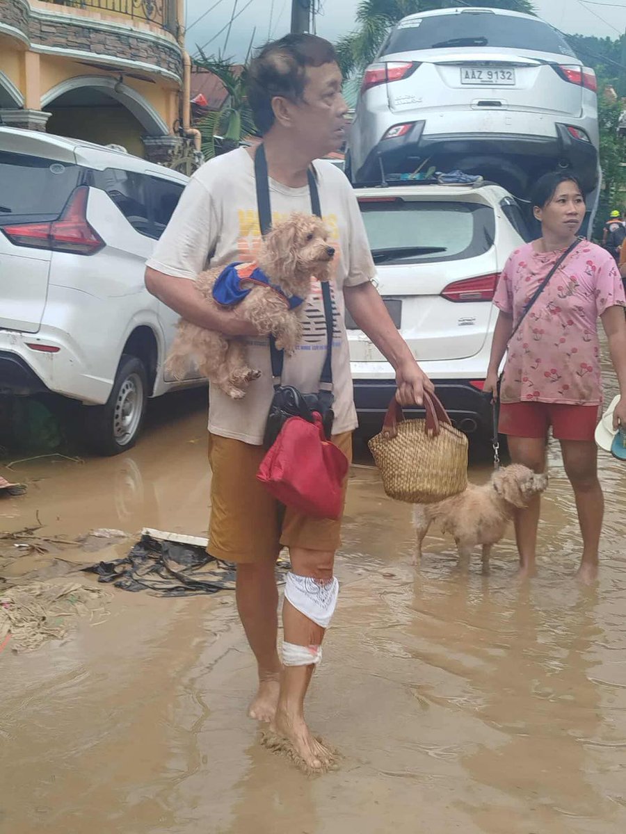 News5 tweet media