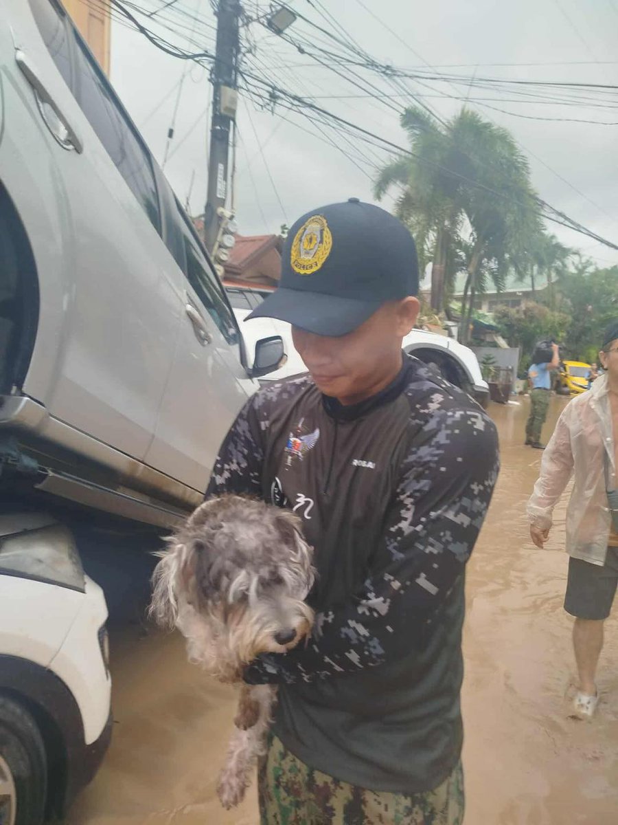 News5 tweet media