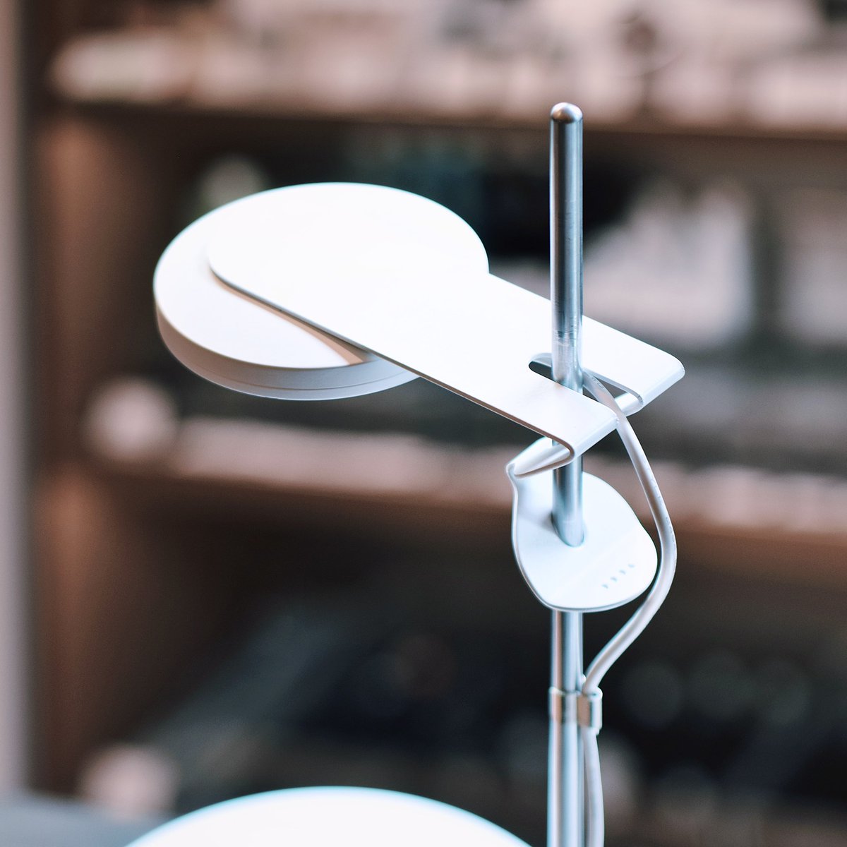 ada_lab_umeda's tweet image. DOOA NEW PRODUCTS
: LIGHT STAND Z

「マグネットライトG スリム」用のライトスタンドが新たに登場。
高さを変更できるZ型のライト取付パーツにより、「CELL」をはじめとする各種ガラスポットに合わせて自在に高さ調節が行えます。

#adalab #adalabumeda #ada