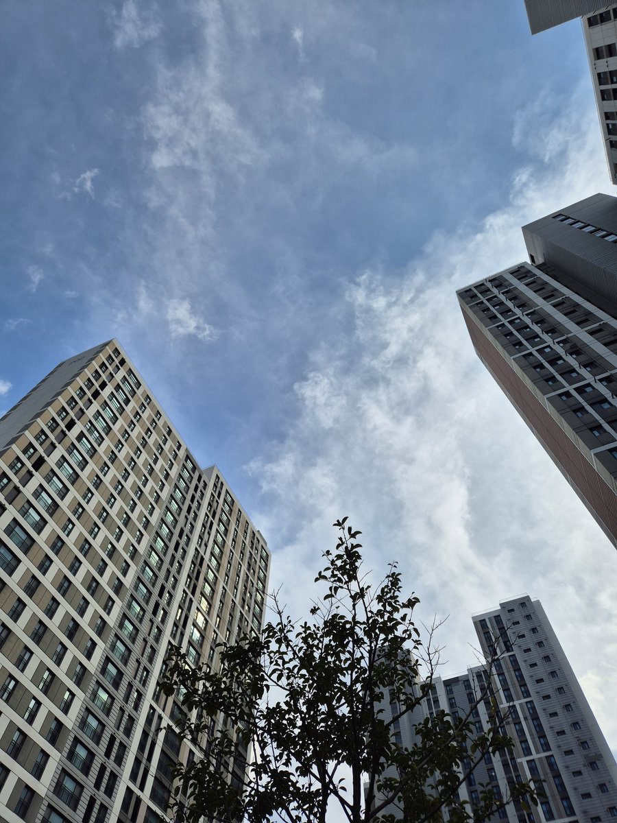 부산 점심은 오늘 따뜻하네요🤭
수능 얼마 남지 않았는데 다들 화이팅입니다🤧
감기조심하세요😭